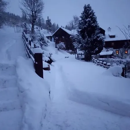 Apartament Fw Schnuckel In 300a Altem Bergbauernhaus 1110m