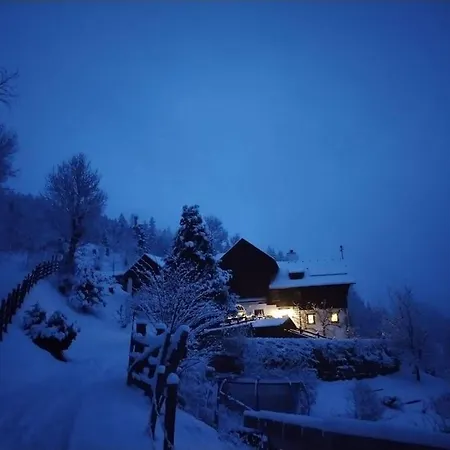 Fw Schnuckel In 300a Altem Bergbauernhaus 1110m * Plessnitz