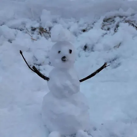 Fw Schnuckel In 300a Altem Bergbauernhaus 1110m