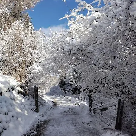 Fw Schnuckel In 300a Altem Bergbauernhaus 1110m Plessnitz