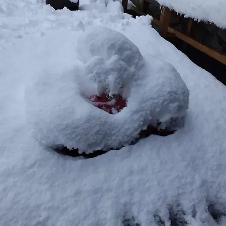 Fw Schnuckel In 300a Altem Bergbauernhaus 1110m Plessnitz