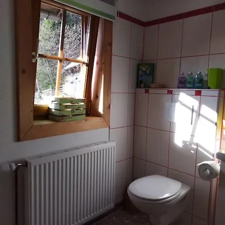 Fw Schnuckel In 300a Altem Bergbauernhaus 1110m アパート