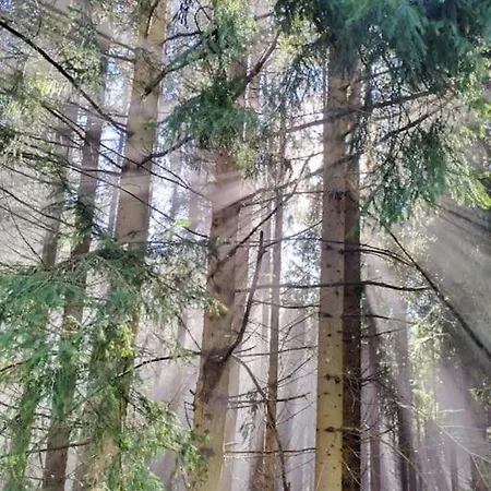 Fw Schnuckel In 300a Altem Bergbauernhaus 1110m Plessnitz