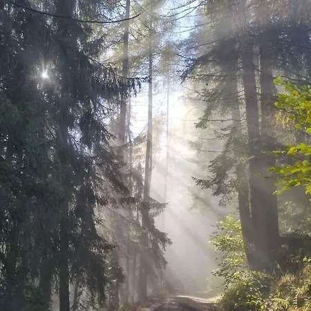 アパート Fw Schnuckel In 300a Altem Bergbauernhaus 1110m Plessnitz