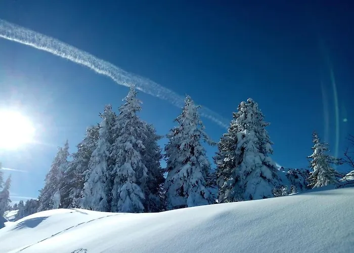 Fw Schnuckel In 300a Altem Bergbauernhaus 1110m Apartament Plessnitz