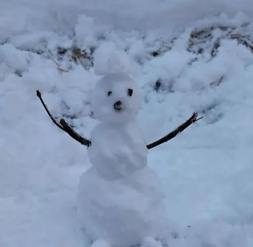 Fw Schnuckel In 300a Altem Bergbauernhaus 1110m