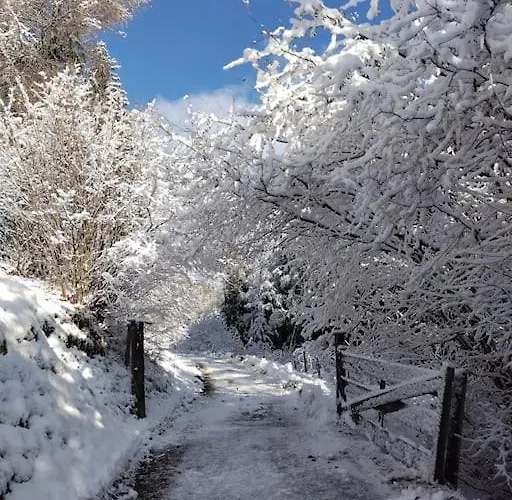Fw Schnuckel In 300a Altem Bergbauernhaus 1110m Plessnitz