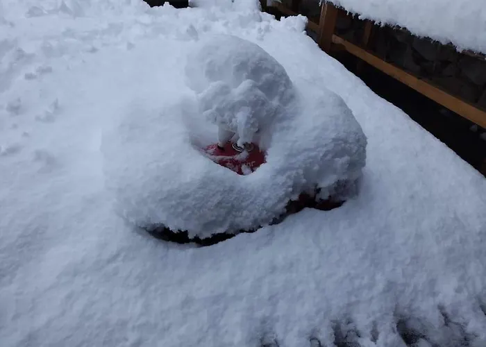 Fw Schnuckel In 300a Altem Bergbauernhaus 1110m Plessnitz