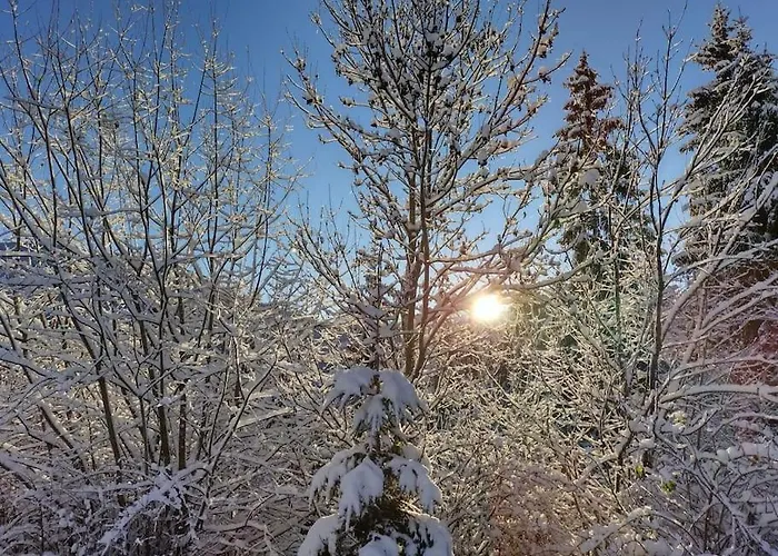 Fw Schnuckel In 300a Altem Bergbauernhaus 1110m *