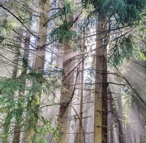 Fw Schnuckel In 300a Altem Bergbauernhaus 1110m Plessnitz
