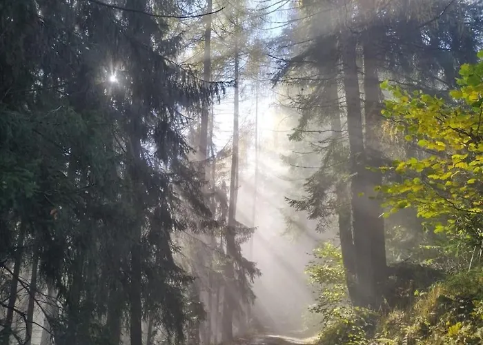 Apartament Fw Schnuckel In 300a Altem Bergbauernhaus 1110m Plessnitz